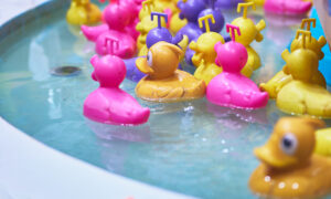 rubber ducks swimming in pool